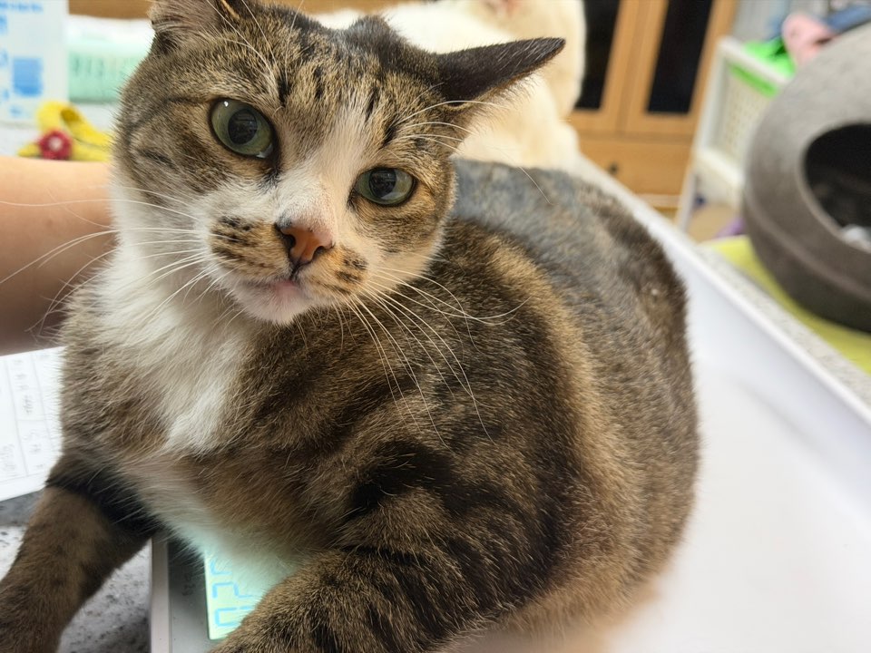 종료(반환) 한국 …